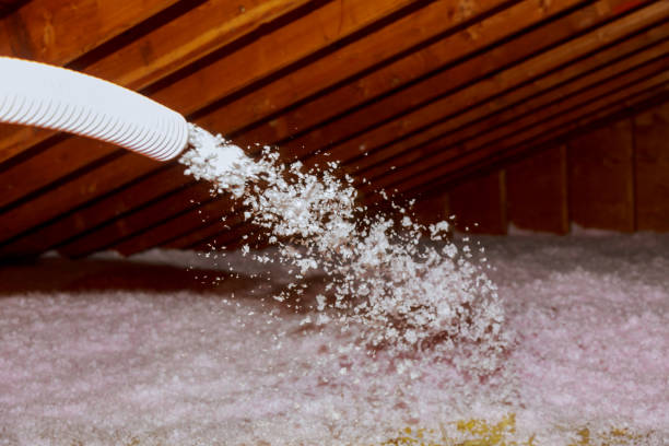 Best Attic Insulation Installation  in Pegram, TN